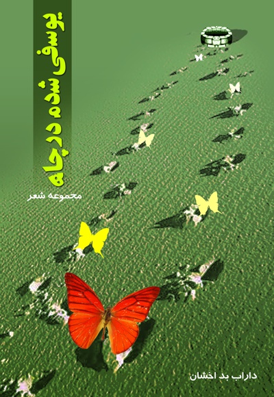 یوسفی شدم در چاه